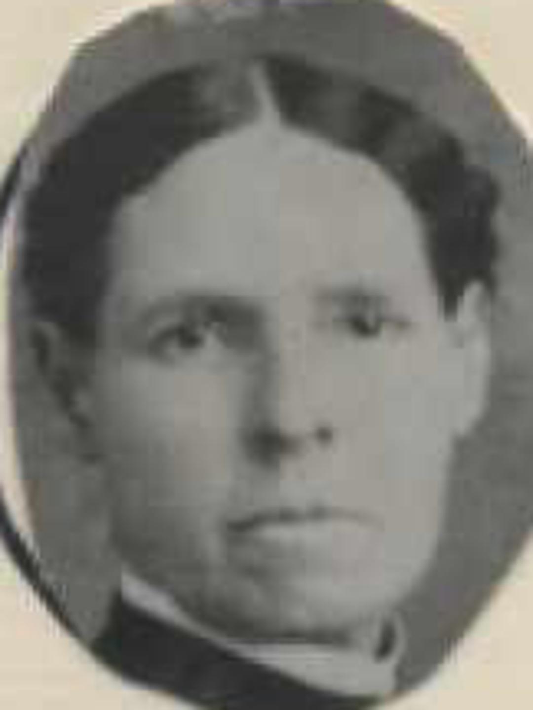 Amelia Brady (1843 - 1914) Profile